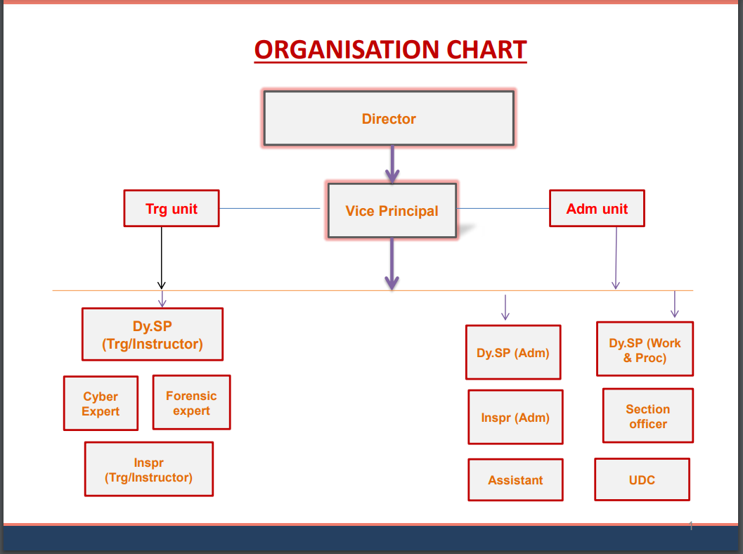 organization chart